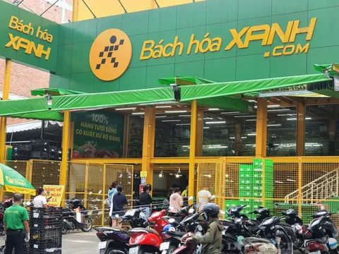 Thế Giới Di Động (MWG) muốn bán tối đa 20% cổ phần Bách Hóa Xanh