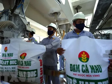 Bị xử phạt 578 triệu đồng do sai phạm về hải quan, Đạm Cà Mau giải trình gì?