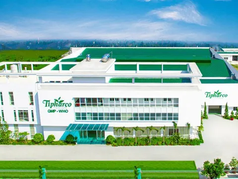 Các cổ đông liên quan Bamboo Capital nắm giữ gần 90% cổ phần Dược phẩm Tipharco (DTG)