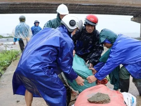 Thừa Thiên-Huế: Bí thư huyện xuống đồng cùng dân hộ đê, cứu lúa