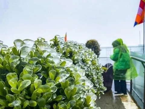 Băng giá bất ngờ phủ đỉnh Fansipan