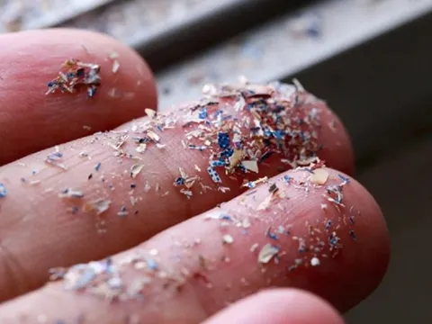 Mỗi tuần chúng ta vô tình ăn lượng nhựa bằng một chiếc thẻ tín dụng