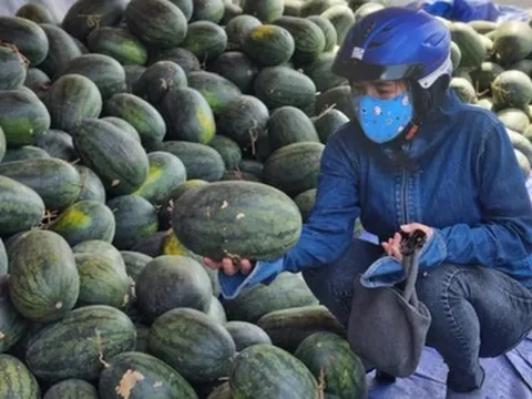 Dưa hấu “giải cứu” bày bán la liệt ở Hà Nội, giá siêu rẻ