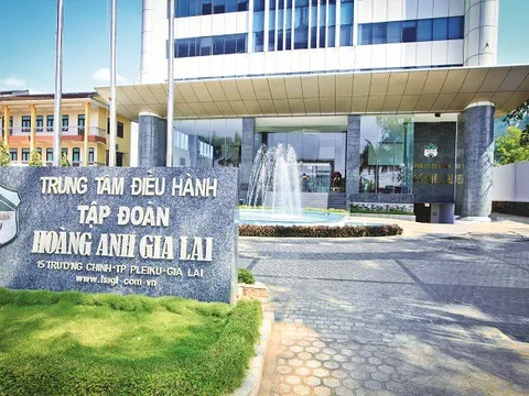 Hoàng Anh Gia Lai (HAGL): Thêm một thành viên HĐQT gắn bó lâu năm từ nhiệm