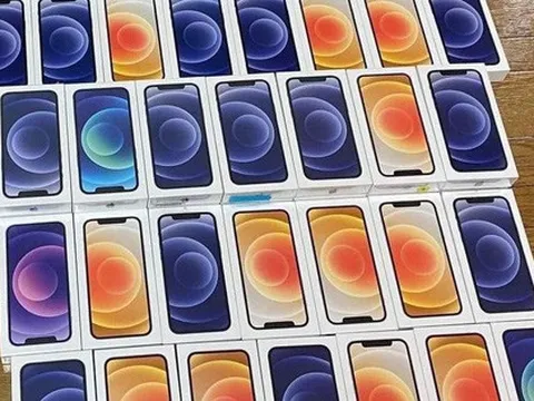 iPhone 12 giá rẻ tràn về Việt Nam: Ngang iPhone 11 chính hãng, được nhiều người săn đón