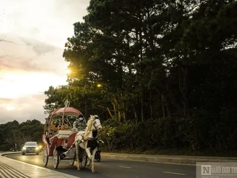 Lâm Đồng: Ban hành bộ quy tắc ứng xử văn hoá người Đà Lạt