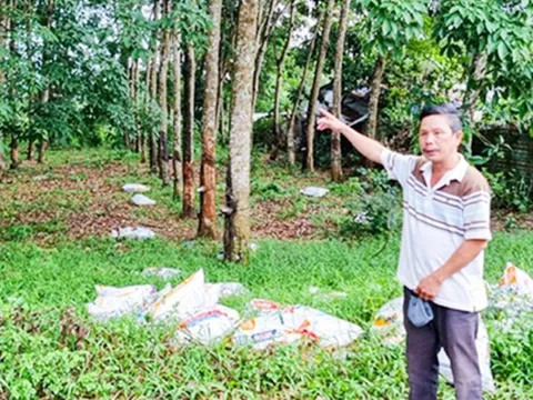 Đồng Nai: Khởi tố đối tượng lừa đảo chiếm đoạt tài sản