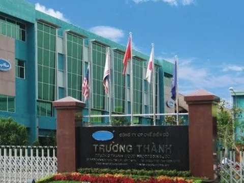 Gỗ Trường Thành (TTF) tiếp tục chi tiền mua gần 17% vốn một công ty gỗ và ván ép