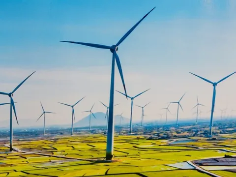 Báo Nhật: Thị trường mua bán phát thải carbon tại Việt Nam được thành lập sẽ khiến nhiều doanh nghiệp lớn phải trả phí để xả thải