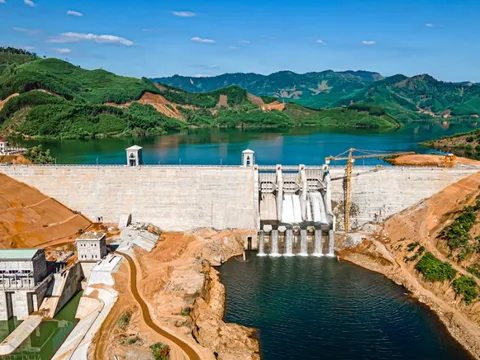 C47 muốn phát hành 25 triệu cổ phiếu riêng lẻ với giá tối thiểu 25.000 đồng/cp