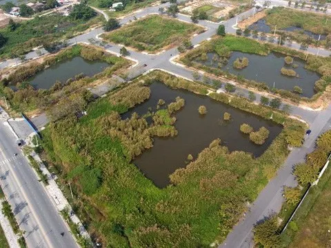 Hai doanh nghiệp xin... trả góp theo tháng tiền trúng đấu giá đất Thủ Thiêm