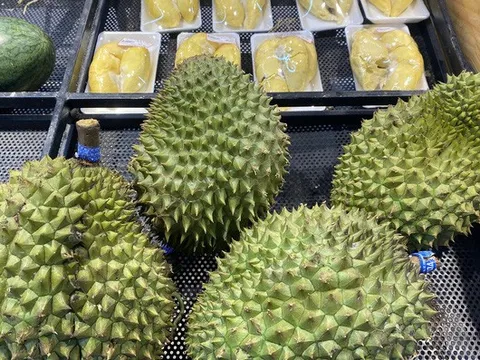 Sầu riêng đầu mùa tăng giá, một quả 3kg gần 600.000 đồng vẫn nhiều người săn lùng