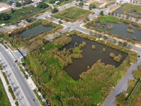 Hai doanh nghiệp xin trả góp tiền trúng đấu giá đất Thủ Thiêm sẽ bị phạt 1 tỷ mỗi ngày