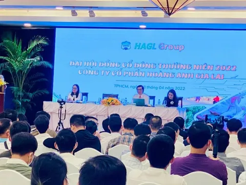 [Live ĐHĐCĐ Hoàng Anh Gia Lai] Bầu Đức: Vấn đề HAGL bây giờ là cần tiền, quý 1 ước lãi 248 tỷ đồng, đối tác mới là Chứng khoán VPbank và quỹ VietCap