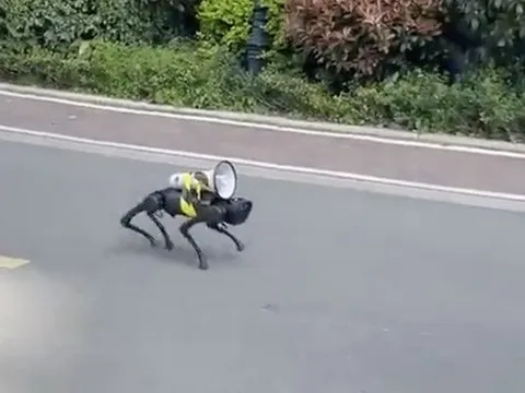 Chó máy vác loa lang thang trên phố Thượng Hải, 'sủa' nhắc người dân ở yên trong nhà