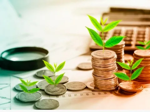 Đòi hỏi về trách nhiệm thẩm định, cấp phép cho doanh nghiệp phát hành riêng lẻ là sai!