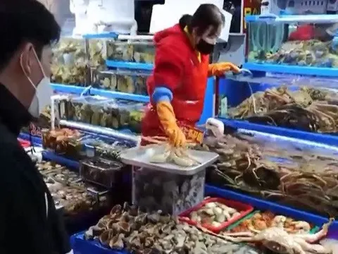 "Cơn sốt" tiêu thụ cua Nga tại Hàn Quốc