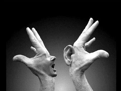 Cả thị trường bán tháo khiến cổ phiếu BCG, GEX, KBC, HSG… giảm sàn, vốn hoá bốc hơi cả ngàn tỷ do tin đồn, phía doanh nghiệp nói gì?