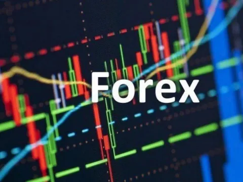 “Đầu tư trên sàn giao dịch Forex là mang tiền cho kẻ lừa đảo”