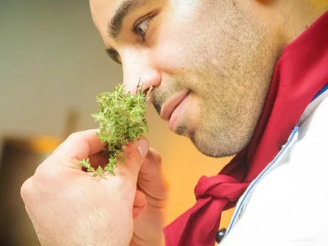 Một loại thuốc hiện có bất ngờ trị được mất mùi, mất vị do Covid-19