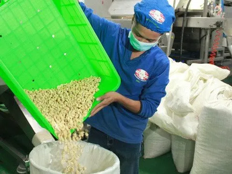 Doanh nghiệp xuất khẩu lại bị lừa