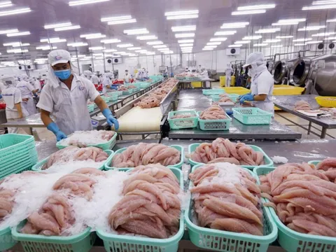 Doanh nghiệp thủy sản ‘đầy ắp’ đơn hàng đến cuối năm, đặt mục tiêu lãi kỷ lục