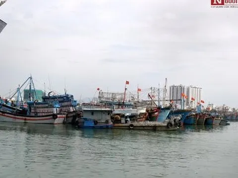 Khánh Hòa: Công bố khu neo đậu tránh trú bão cho tàu cá