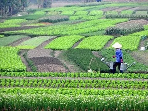 Nông nghiệp xanh sẽ chi phối thị trường nông sản toàn cầu
