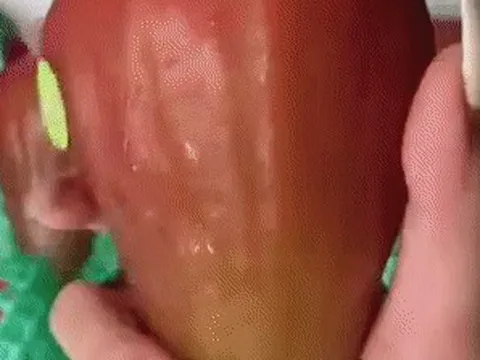 Roi ngọc bích hộp 7 quả giá hơn 2 triệu có gì đặc biệt mà đắt đến thế?