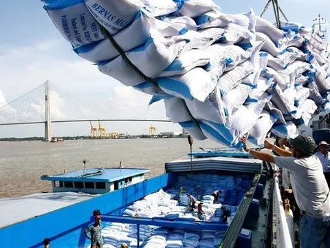 Giá gạo xuất khẩu cao nhất từ đầu năm