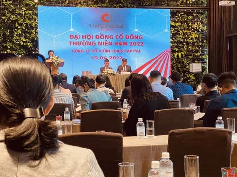 ĐHĐCĐ Louis Capital (TGG): Phát hành tăng vốn gấp 3 lên hơn 838 tỷ đồng, thâu tóm chuỗi trung tâm thương mại của Nguyễn Kim và Sợi Việt Phú