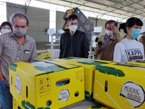 NovaGroup không có liên quan đến đợt chào bán cổ phần riêng lẻ của HAGL