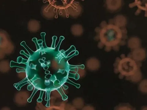 2 biến thể phụ mới của Omicron BA.4 và BA.5 - Những điều cần biết