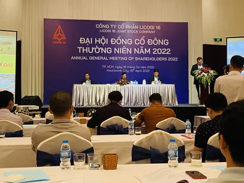 ĐHĐCĐ Licogi 16 (LCG): 3 mảng trọng điểm giai đoạn 2021-2025 là hạ tầng, năng lượng tái tạo và BĐS, tổng nhu cầu vốn 20.000 tỷ đồng