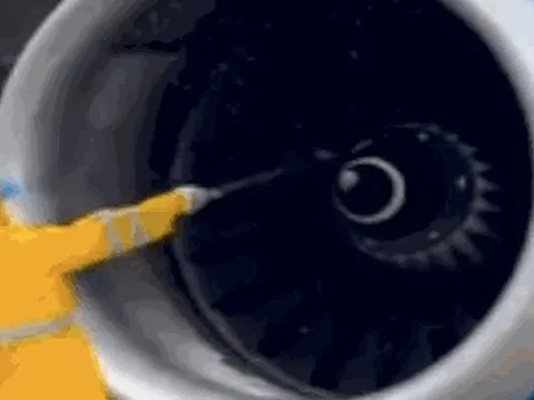 CLIP: Hy hữu sự cố đàn ong bám vào động cơ máy bay từ Phú Quốc đi Hà Nội