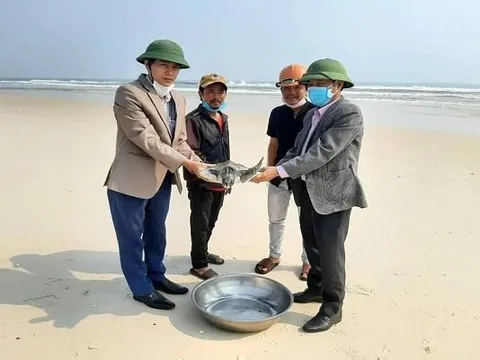 Đi cào ngao, ngư dân bắt được con vật sắp có nguy cơ tuyệt chủng