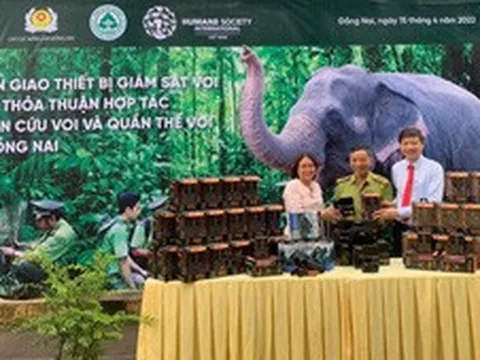 Nỗ lực bảo vệ đàn voi ở Đồng Nai