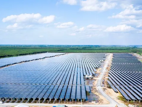 Bamboo Capital (BCG): Lên kế hoạch lợi nhuận gấp hơn 2 lần lên 2.200 tỷ đồng, sẽ phát hành huy động hơn 5.100 tỷ đồng