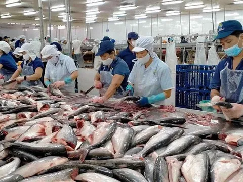 Triển vọng thuận lợi, loạt doanh nghiệp thuỷ sản đặt kế lợi nhuận 2022 tăng trưởng ba chữ số