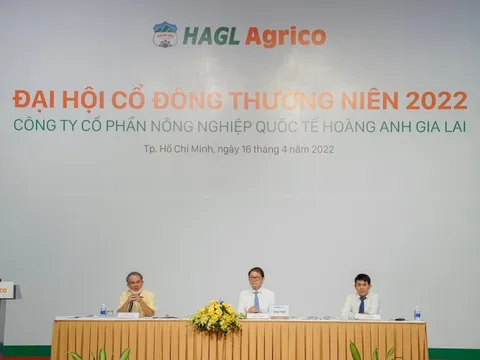 Bầu Đức: Nuôi bò thực sự rất hiệu quả, chẳng qua thời đó HAGL mất thanh khoản, bán con nào ngân hàng siết nợ luôn thì làm sao nổi