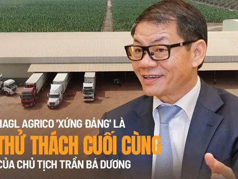 THACO và cuộc tái thiết ở HAGL Agrico: Đường xa vạn dặm!