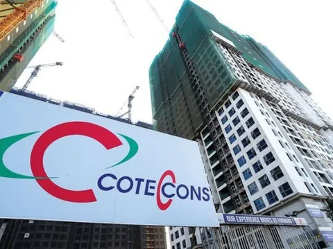 Cổ phiếu Coteccons (CTD) giảm 43% từ đỉnh đầu năm