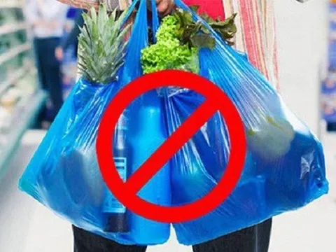 Thoát khỏi túi nylon sử dụng một lần, đâu là giải pháp?