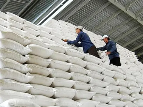 Xuất cấp hơn 484 tấn gạo cho tỉnh Hà Giang