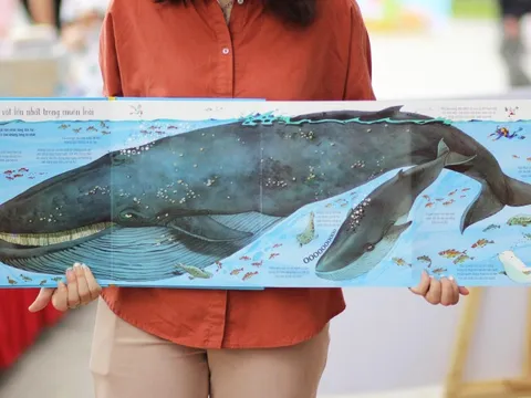 Đinh Tị Books: Câu chuyện thành công của sản phẩm sách cho thiếu nhi