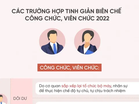 Các trường hợp tinh giản biên chế công chức, viên chức 2022