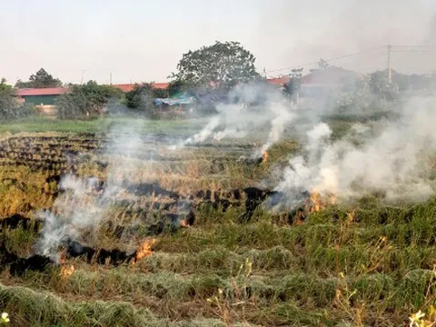 Cải thiện chất lượng không khí: Quyết liệt triển khai nhiều giải pháp
