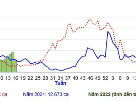 Tp.HCM cảnh báo dịch sốt xuất huyết diễn biến phức tạp