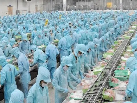 Đầu tư và Phát triển Đa quốc gia I.D.I (IDI): Nhờ cá tra, quý 1 lãi 201 tỷ đồng cao gấp 10 lần cùng kỳ