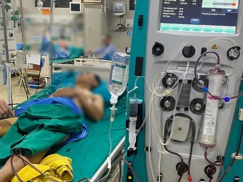 Căn bệnh cực kỳ nguy hiểm, là "thủ phạm" khiến máu đục như sữa: Dấu hiệu nhận biết là gì?